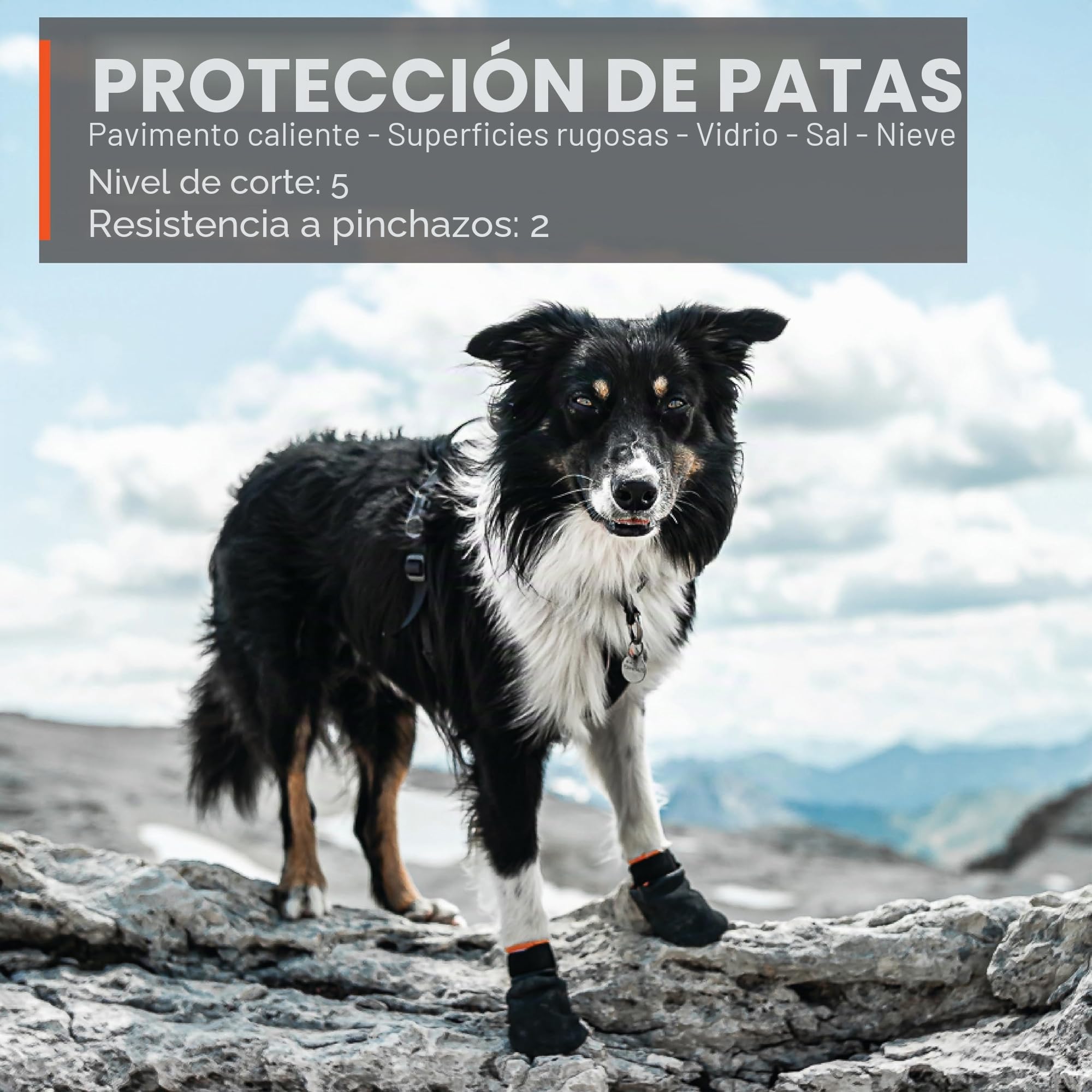 Non-stop dogwear Protector Bootie Parent Product (M)
