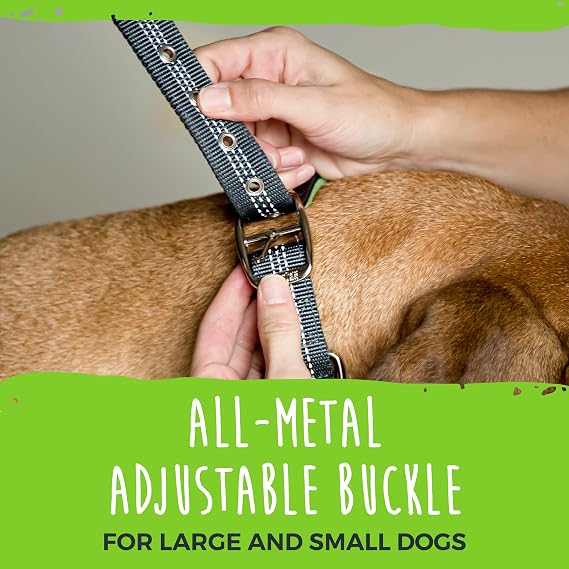 Mighty Paw Ultra Soft Dog Collar - All-Metal Adjustable Buckle for Large and Small Dogs - Super Soft Neoprene Padding for Ultimate Comfort - Heavy-Duty Hardware for Long Lasting Durability