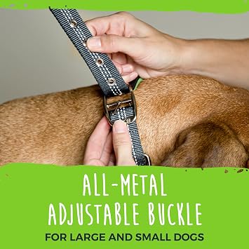 Mighty Paw Ultra Soft Dog Collar - All-Metal Adjustable Buckle for Large and Small Dogs - Super Soft Neoprene Padding for Ultimate Comfort - Heavy-Duty Hardware for Long Lasting Durability