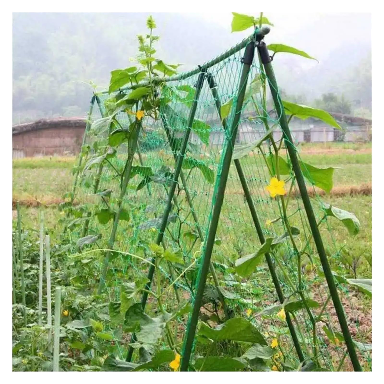 Red de malla antipájaros resistente para protección de jardín, 5 m x 10 m, 36 agujeros (10 cm), ideal para cultivos, plantas, ciervos, perros, gatos, pollos y pesca