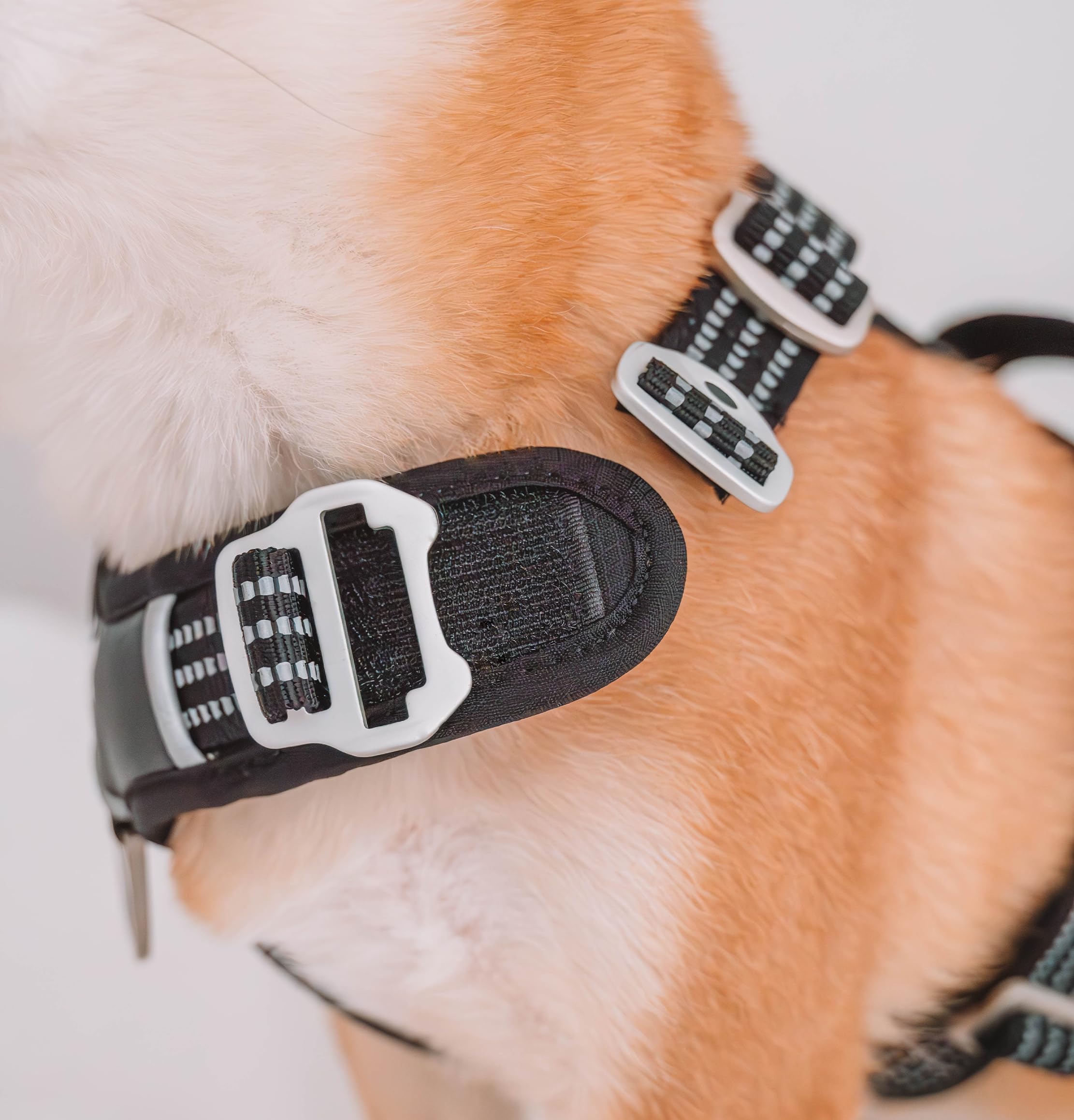 Foxys® CountryFox™ Pro, ergonomisches Hundegeschirr, robust, gepolstert, leicht und verstellbar, Grau, Größe L