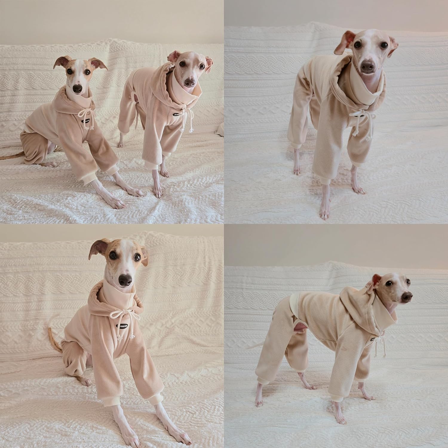 D Doggy Star Italian Greyhound Clothes, Corduroy Velvet Hooded Jumpsuit, Stretchy and Cozy (3XL,Hoodie Beige)