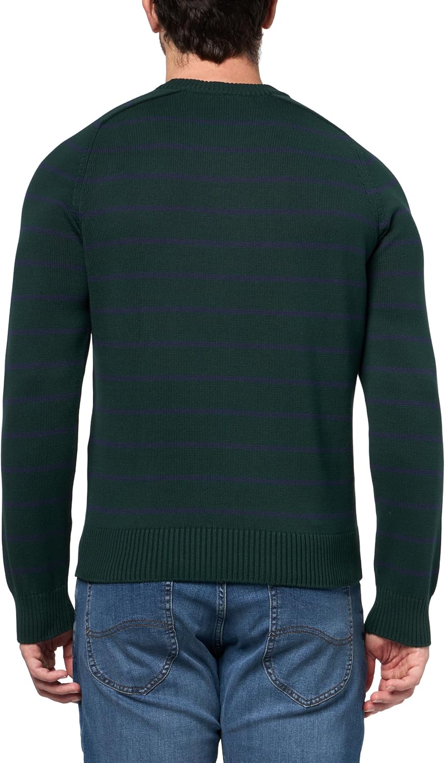 Lacoste Men's Striped 3D Knit Cotton Crew Neck Sweater