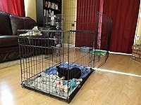 Review Image by MightyDwighty MightyDwighty