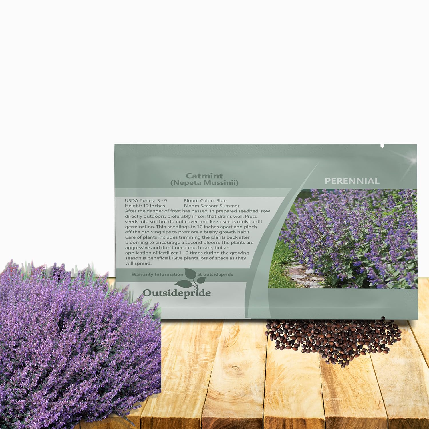 Outsidepride Nepeta Mussinii Catmint Seeds - 1000 Seeds Perennial, Heat & Drought Tolerant Flower Seeds for Planting Fragrant Blue Blooms, Alternative Fresh Catnip for Cats and Attracts Pollinators