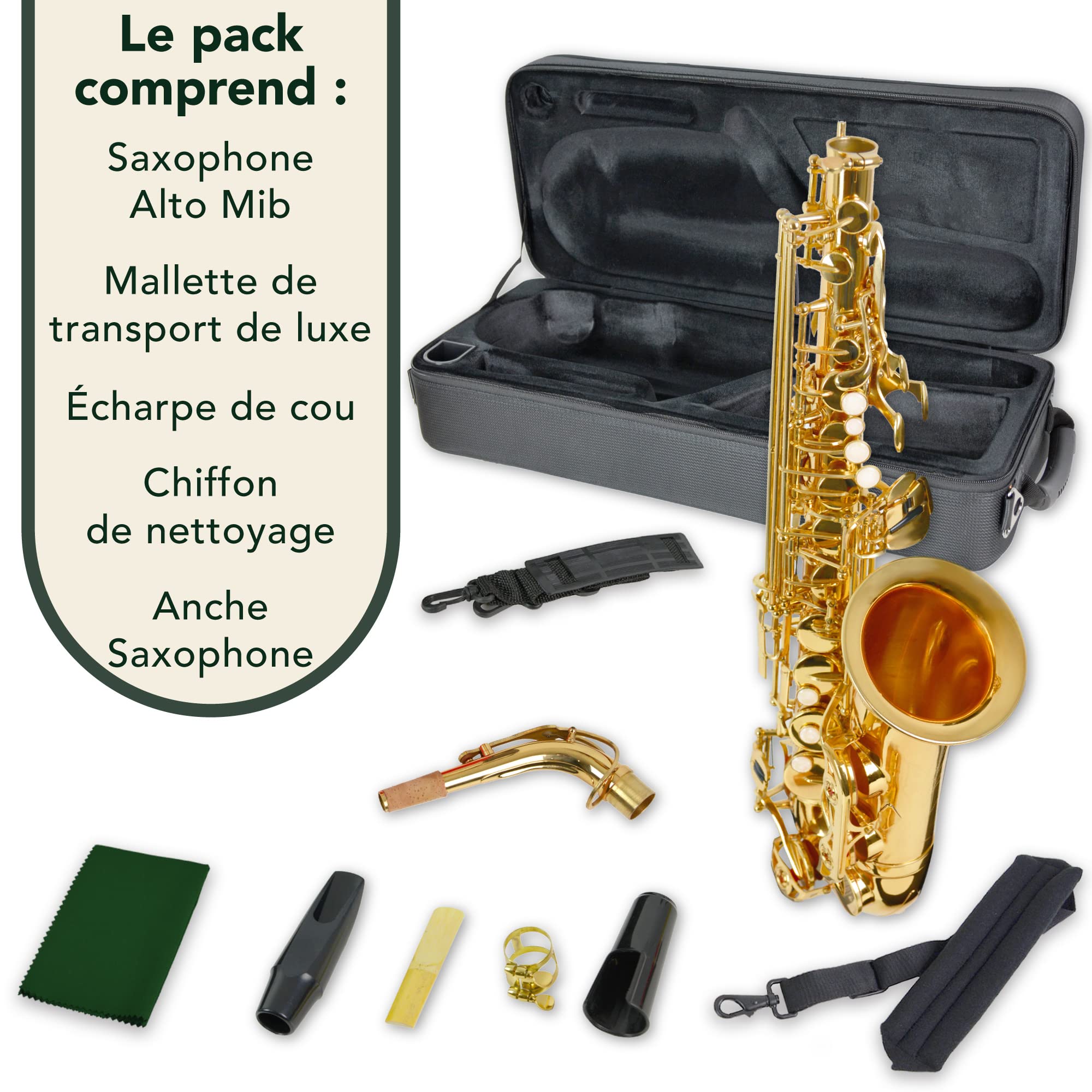 Montreux Série De Concerts Saxophone alto Mib avancé intermédiaire avec étui de transport haut de gamme, embouchure, anche, sangle de cou - Laiton laqué, clé de fa # aigu, mi bémol