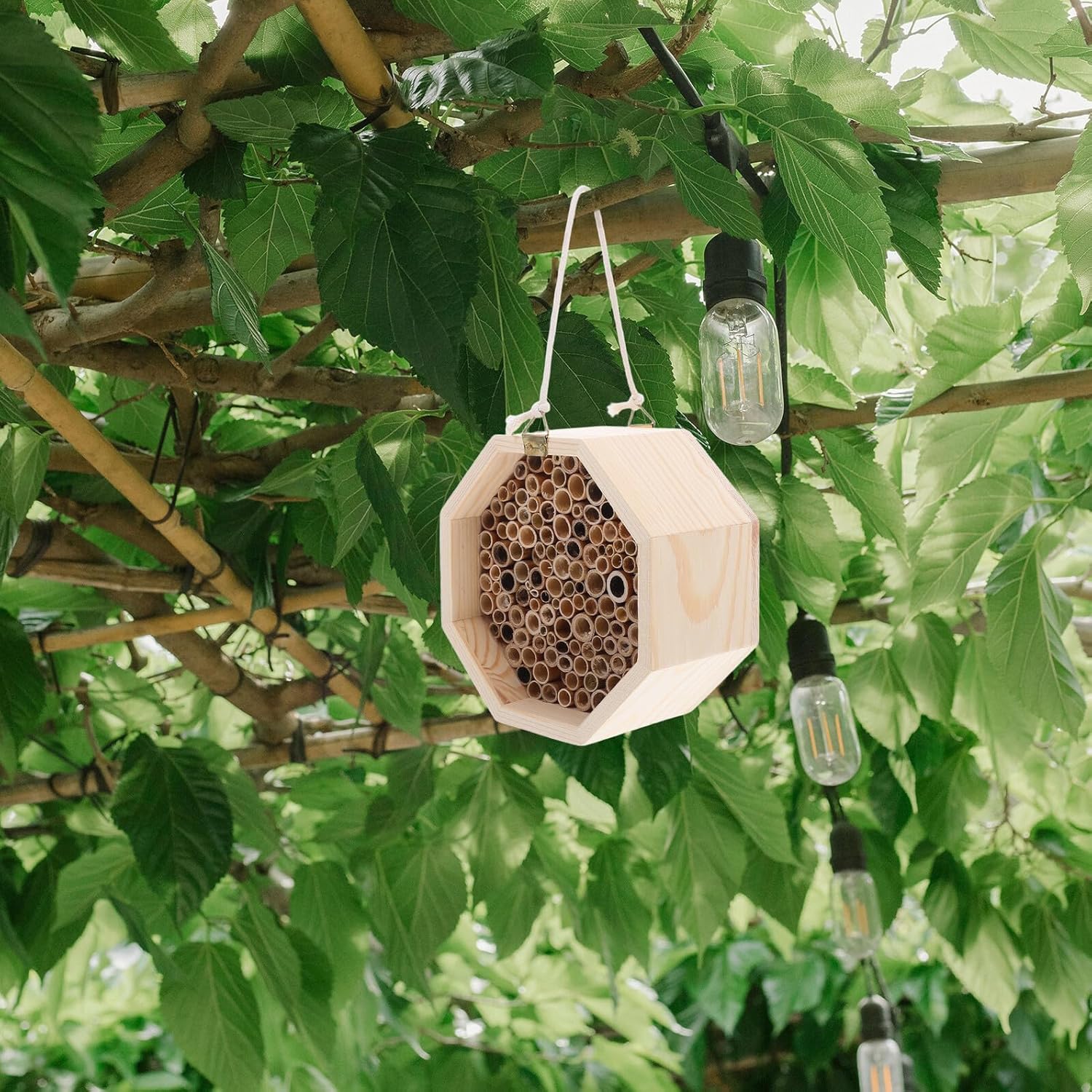 Uonlytech Wooden Insect House and Bee Habitat for Garden Outdoor Use, Handmade Natural Wood Bee Hotel with Hanging Box, Insect Shelter for Butterflies, Ladybugs, and Pollinators