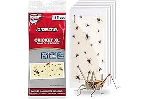 Catchmaster Cricket XL Giant Glue Boards Sticky Trap