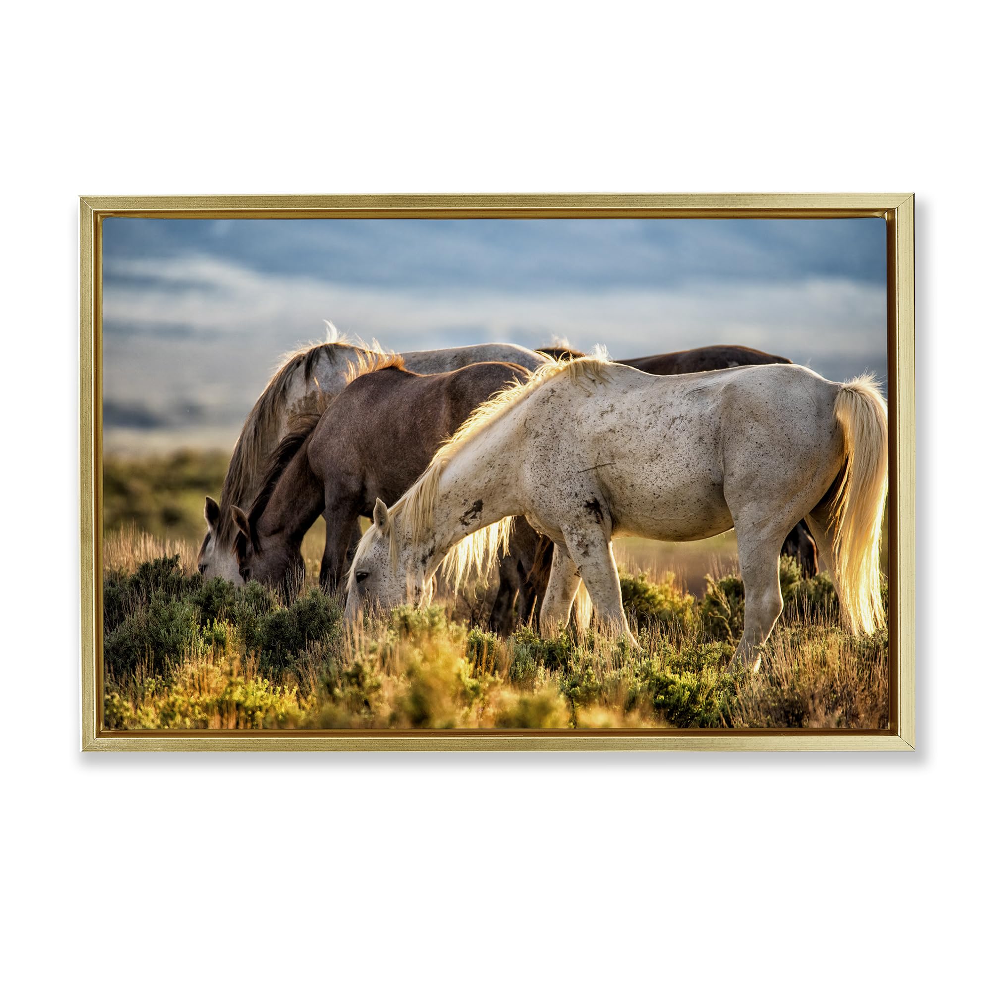 Stupell Industries Evening Horse Grazing Meadow 'Equine Evening Graze', Floating Frame Canvas Art, Gold, 25 X 17 Inches, Easy To Hang And Sturdy, Made In Usa, By Tim West