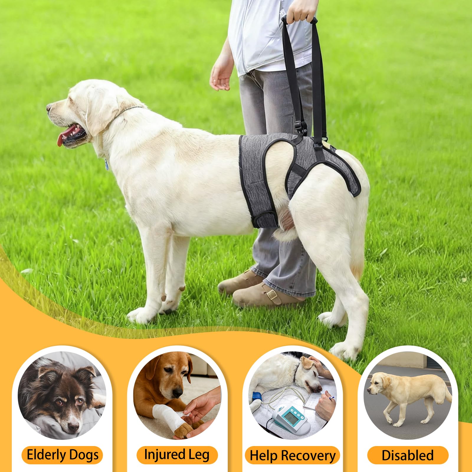 Dotoner Imbracatura per Cani, imbracatura cane zampe posteriori, Pettorina di Sollevamento per Taglie Piccola Media Grande, Assistenza alla Mobilità Anziani o Infortunati