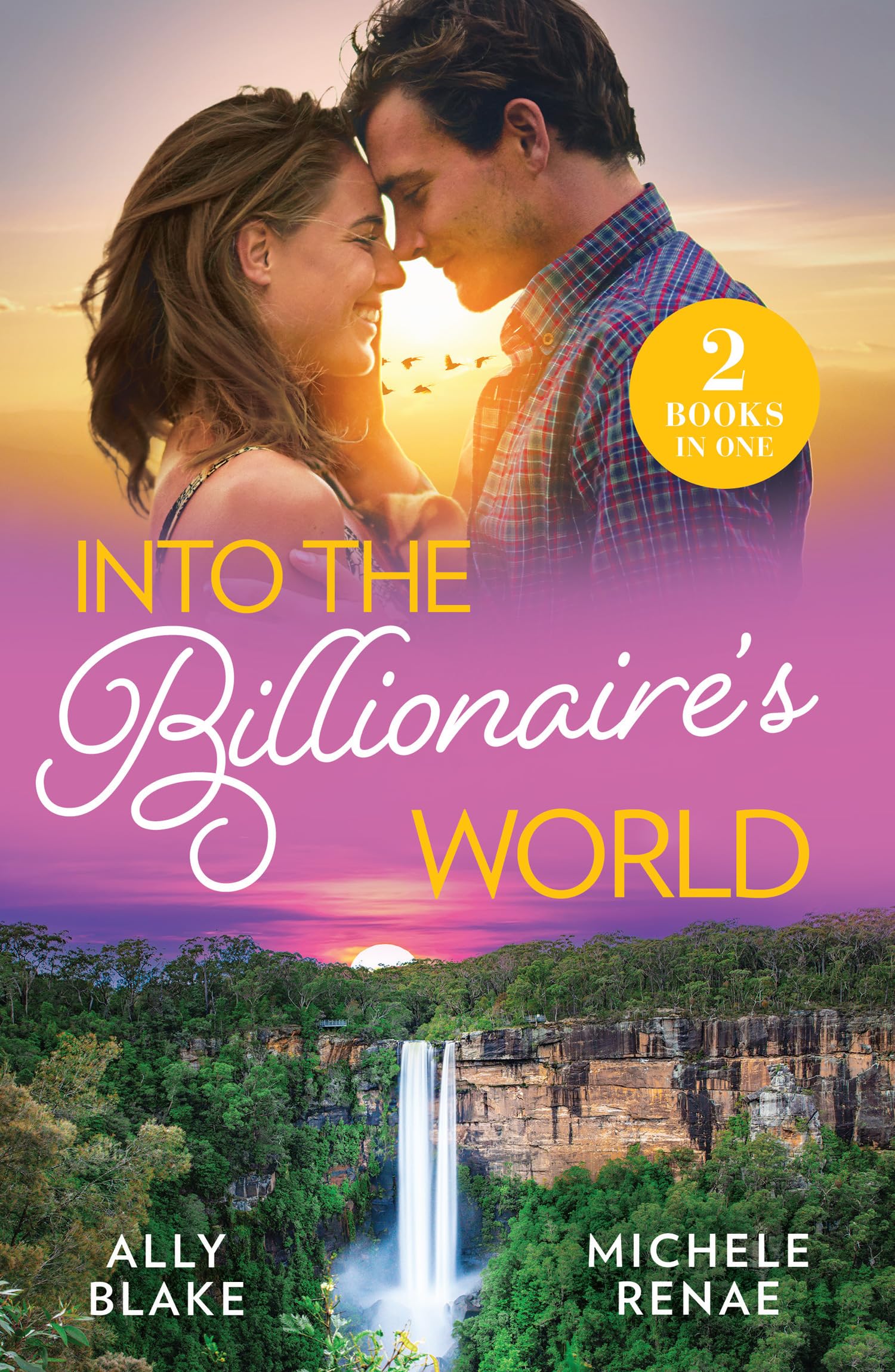 Into The Billionaire's World…: 2 hot summer billionaire romances for fans of opposites attract, fake dating ruses and glamourous destinations in 2026!