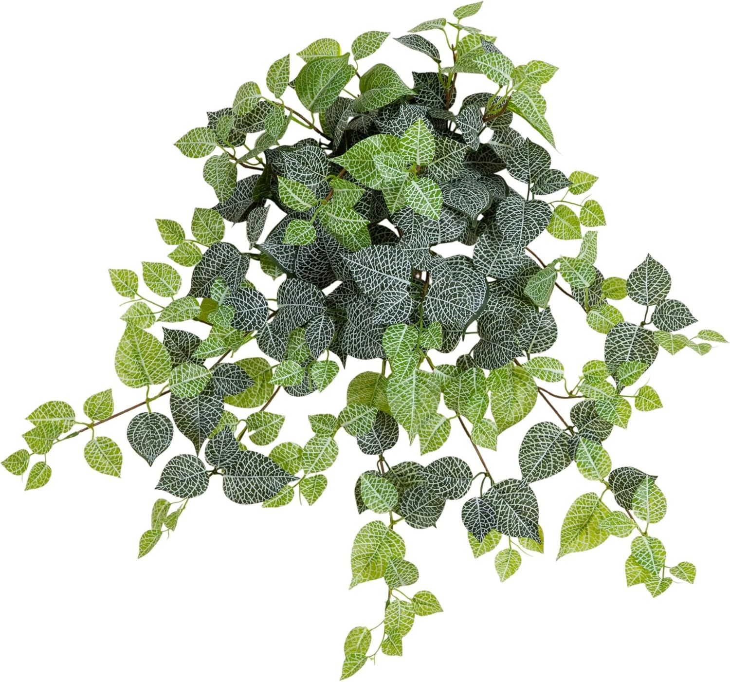 Nearly Natural 24in. UV Resistant Artificial Fittonia Hanging Plant (Indoor/Outdoor) - Set of 3