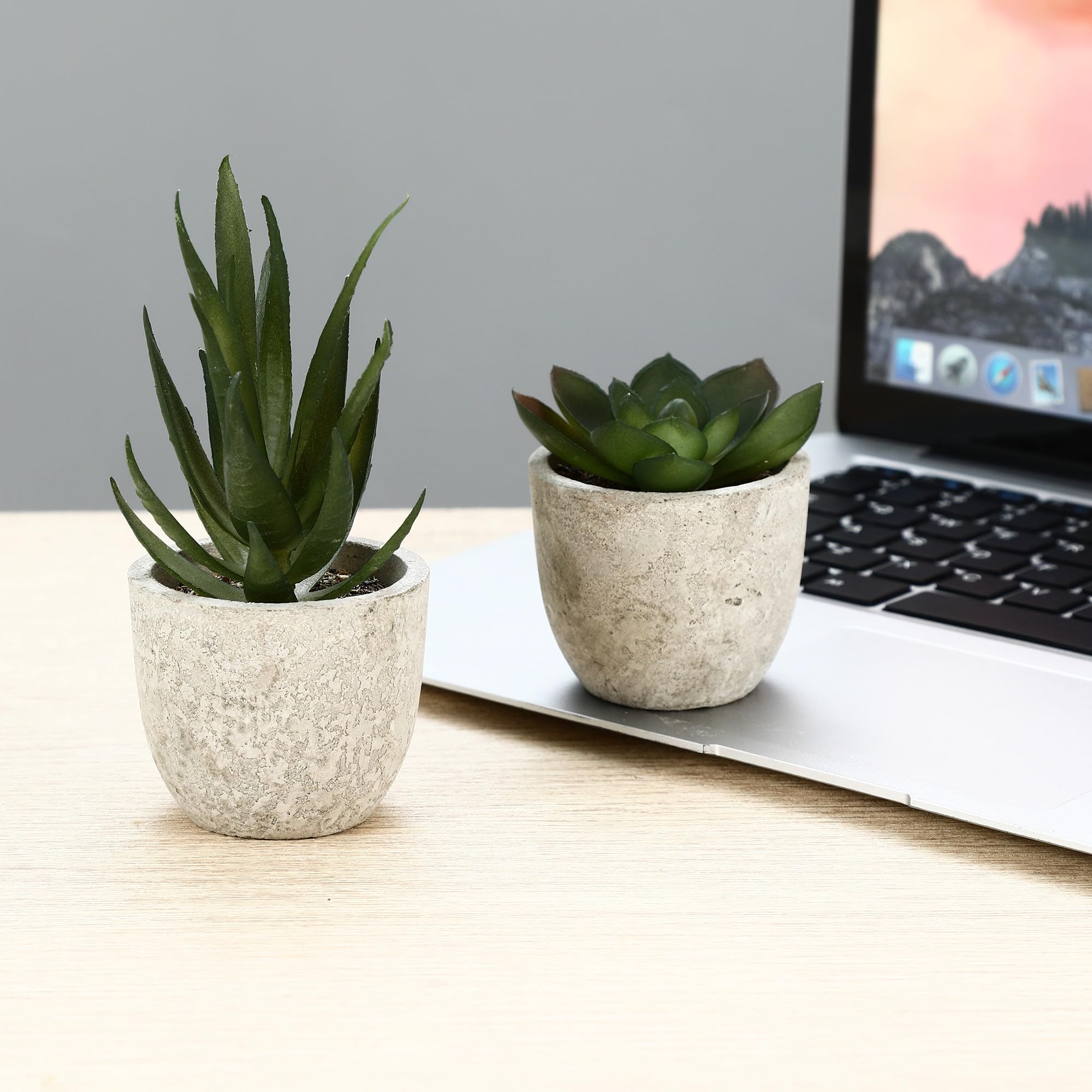 ZHYLUO 5 Pezzi Piante Artificiali, Mini Piante finte Serpentine, Agave Succulente, Aloe Artiglio d'Aquila per Camera da Letto Ufficio Decorazione
