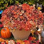 Artificial Mums Outdoor Fake Fall Flowers Decorations for Home,16 Bundles Silk Faux Mum Plants Look Real UV Resistant for Outside,Autumn Decor for Porch,Patio,Front Yard & Planters,Thanksgiving