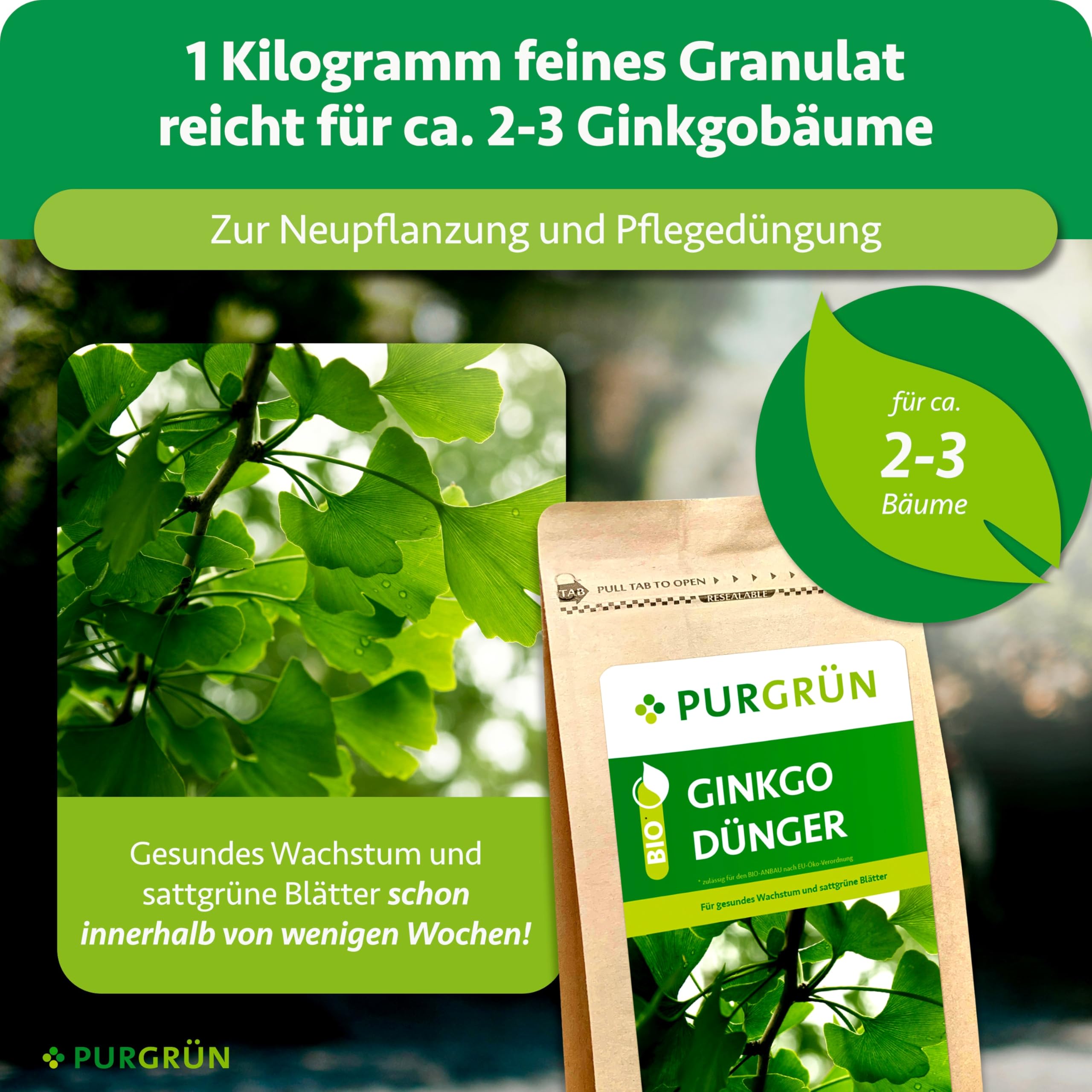 Bio-Ginkgo-Dünger 1 kg – Erhöht die Widerstandskraft mit extra Kalium – Extra Magnesium für leuchtend grüne Blätter – Verbessert die Bodenqualität – Veganer Baumdünger für 2-3 Ginkgobäume