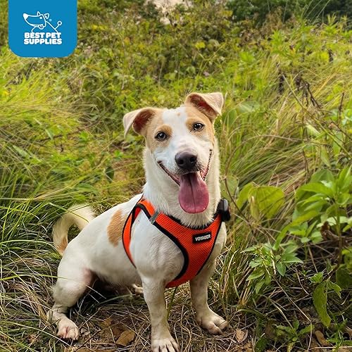 Miniatura 9 de Best Pet Supplies - Arnés Voyager Step-in Air hecho de malla apta para todos los climas arnés tipo chaleco para colocar por las patas para perros