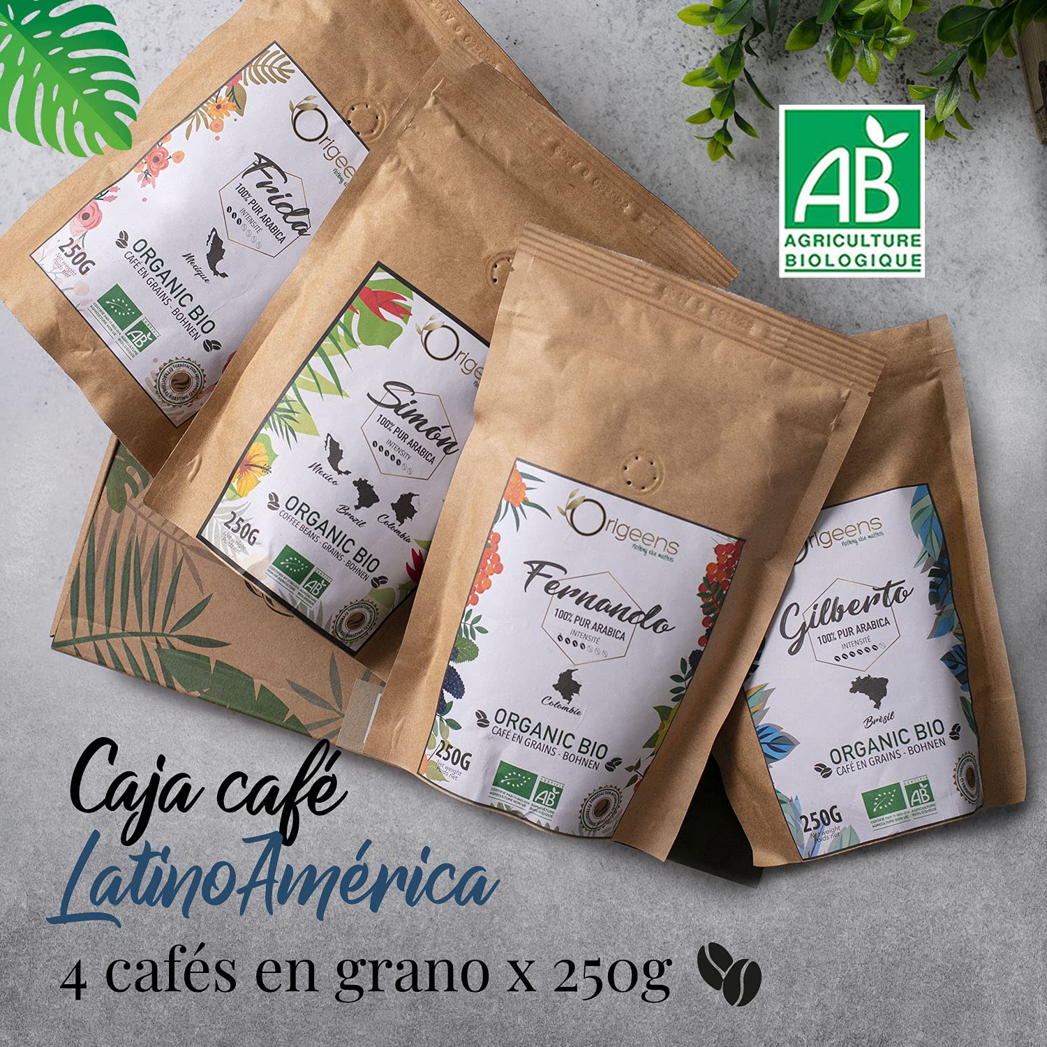 Cafe En Grano Ecólogico 1kg | Granos de Cafe Arabica 4x250g, Tostado Artesanal | Caja Cafe Regalo
