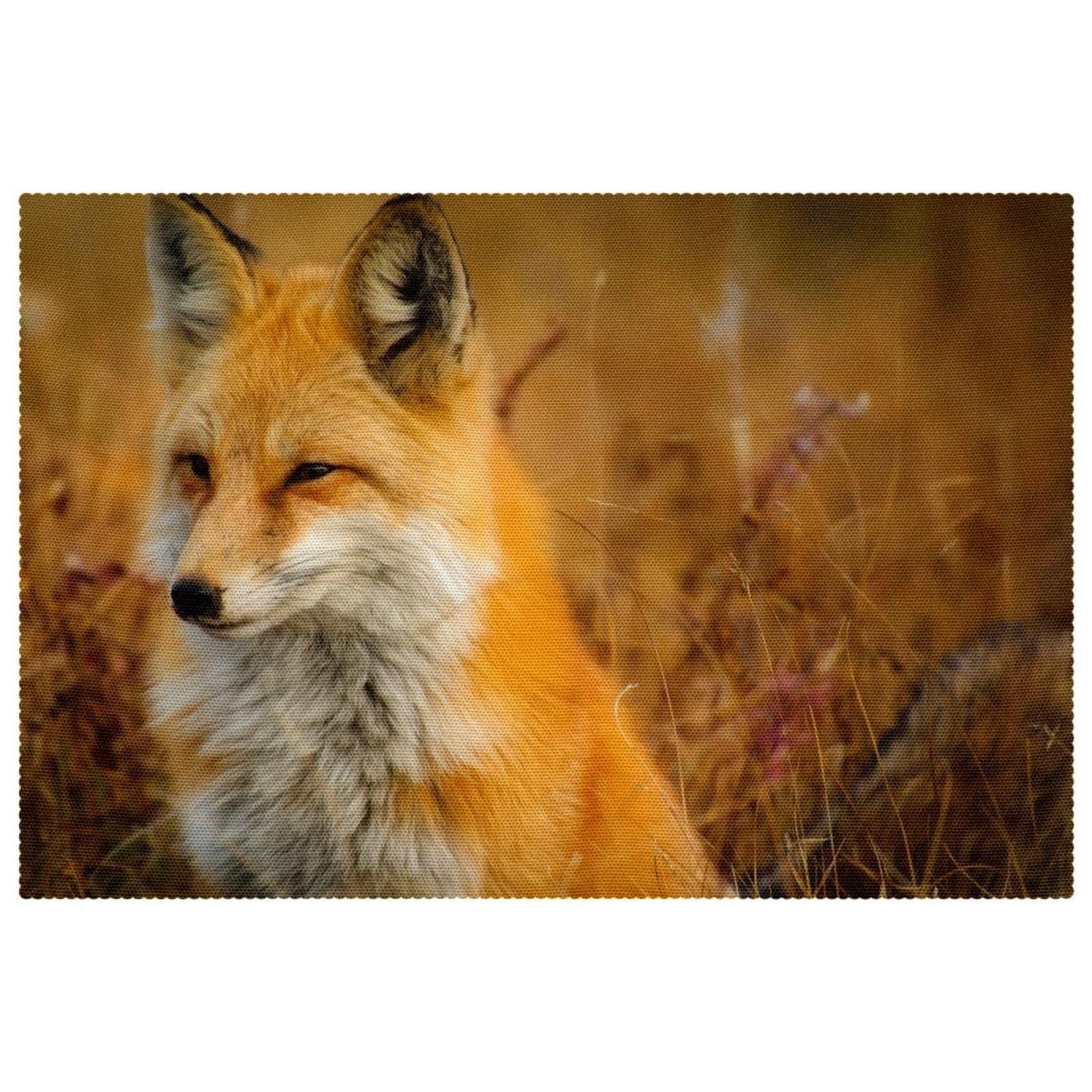Sets de table haut de gamme Fox Closeup 30,5 x 45,7 cm anti-chaleur, lot de 6