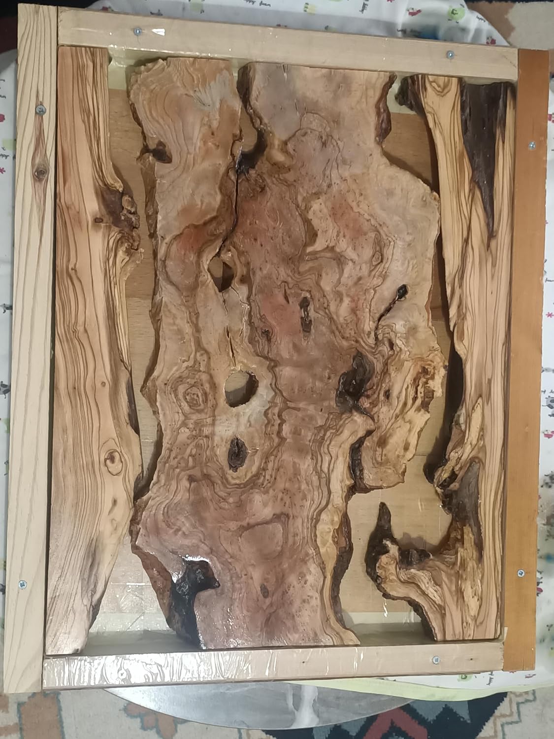 Live Edge Olive Wood Slab Set in 3 Pieces for DIY and Epoxy River Table, Ready to be Resin Table, Cleared Wood Slab Set, Burl Wood (1)