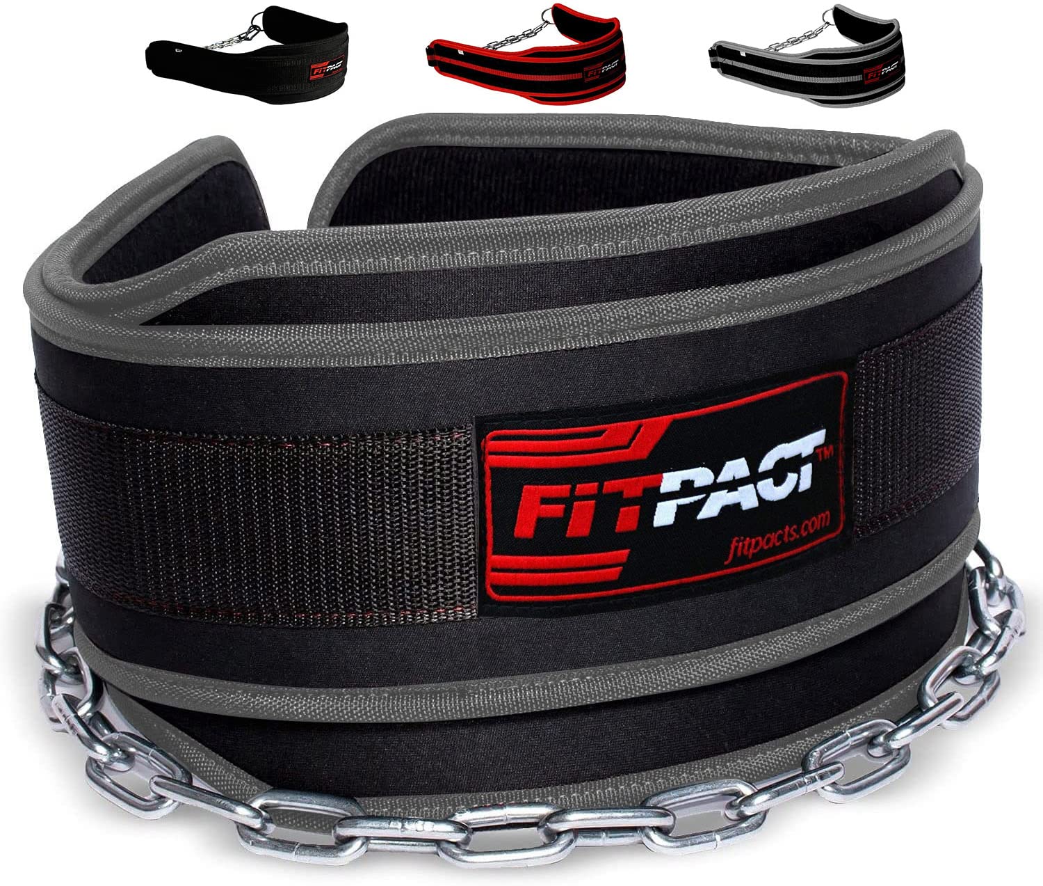 Buy FITPACT Dipping Belt with Chain Adjustable Heavy Duty Dip Weight