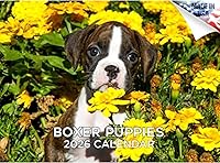 Vista 77 de Razas de Perros 2017