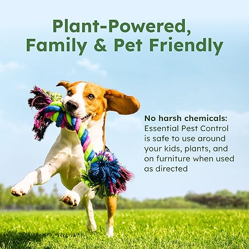Miniatura 5 de BugMD - Concentrado de aceite esencial de control de plagas de 37 onzas - Spray de insectos alimentado por plantas mata insectos arañas pulgas