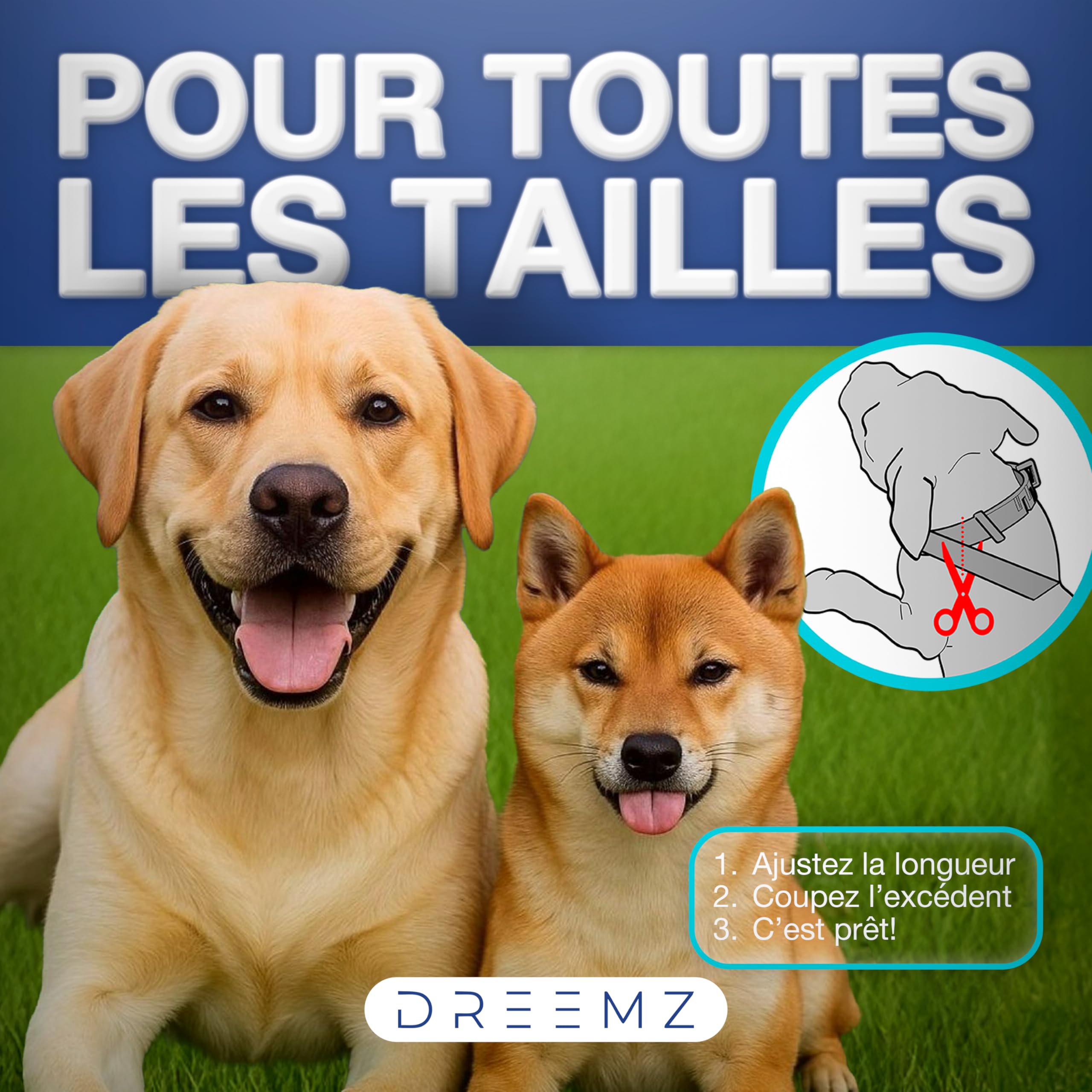 DREEMZ® Collier Anti Puces pour Chien - Collier Anti Puce Chien - Anti Tiques Haute Qualité - 8 Mois de Protection - 63cm Réglable Toutes Tailles - 100% Naturel - Imperméable déperlant (1 unité)