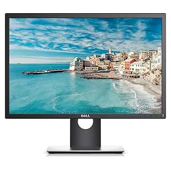 【SALE】DELL P2217 22インチ（縦横回転OK） Amazon.co.jp: Dell P2217 22インチ モニター (3年間無輝点交換