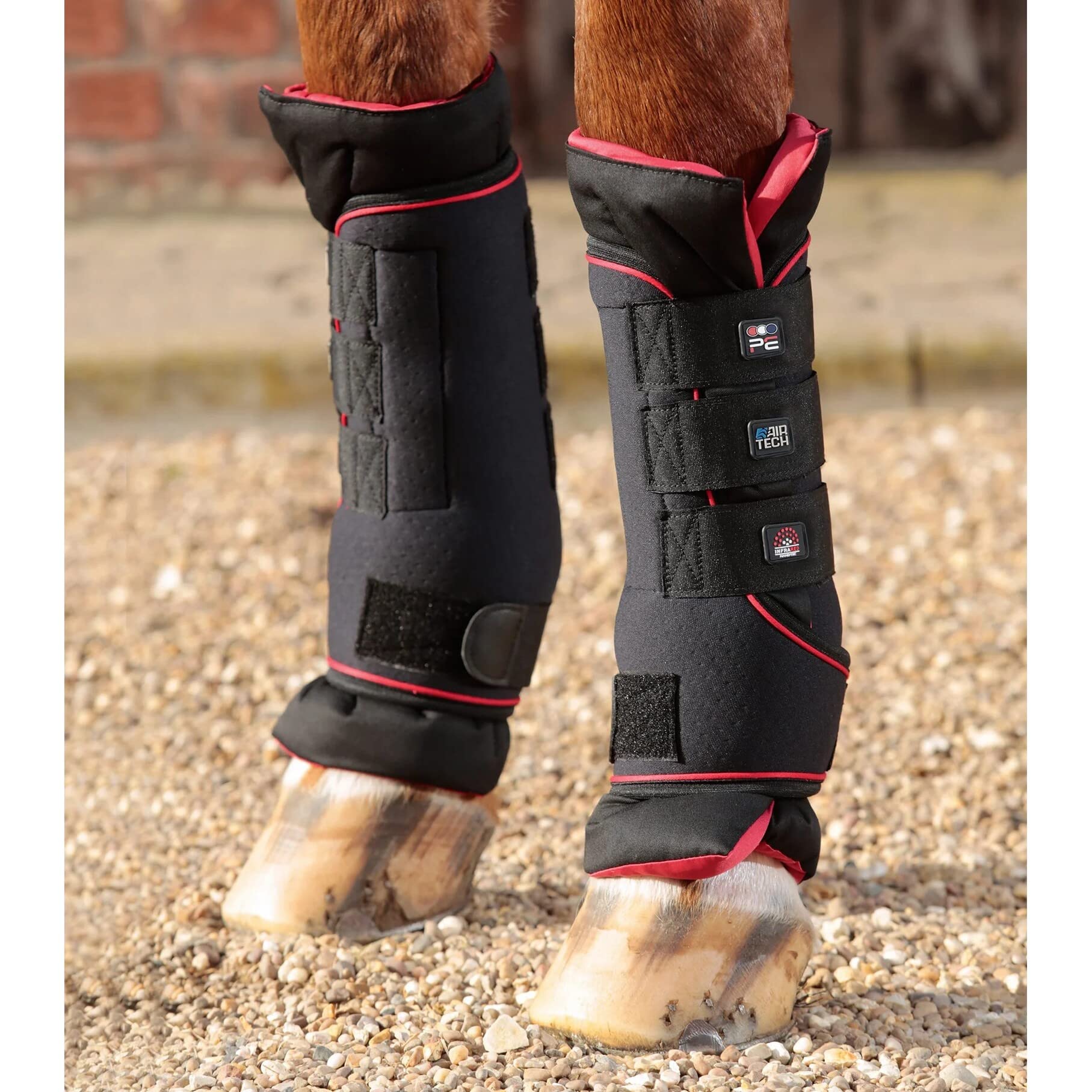 Premier-equine