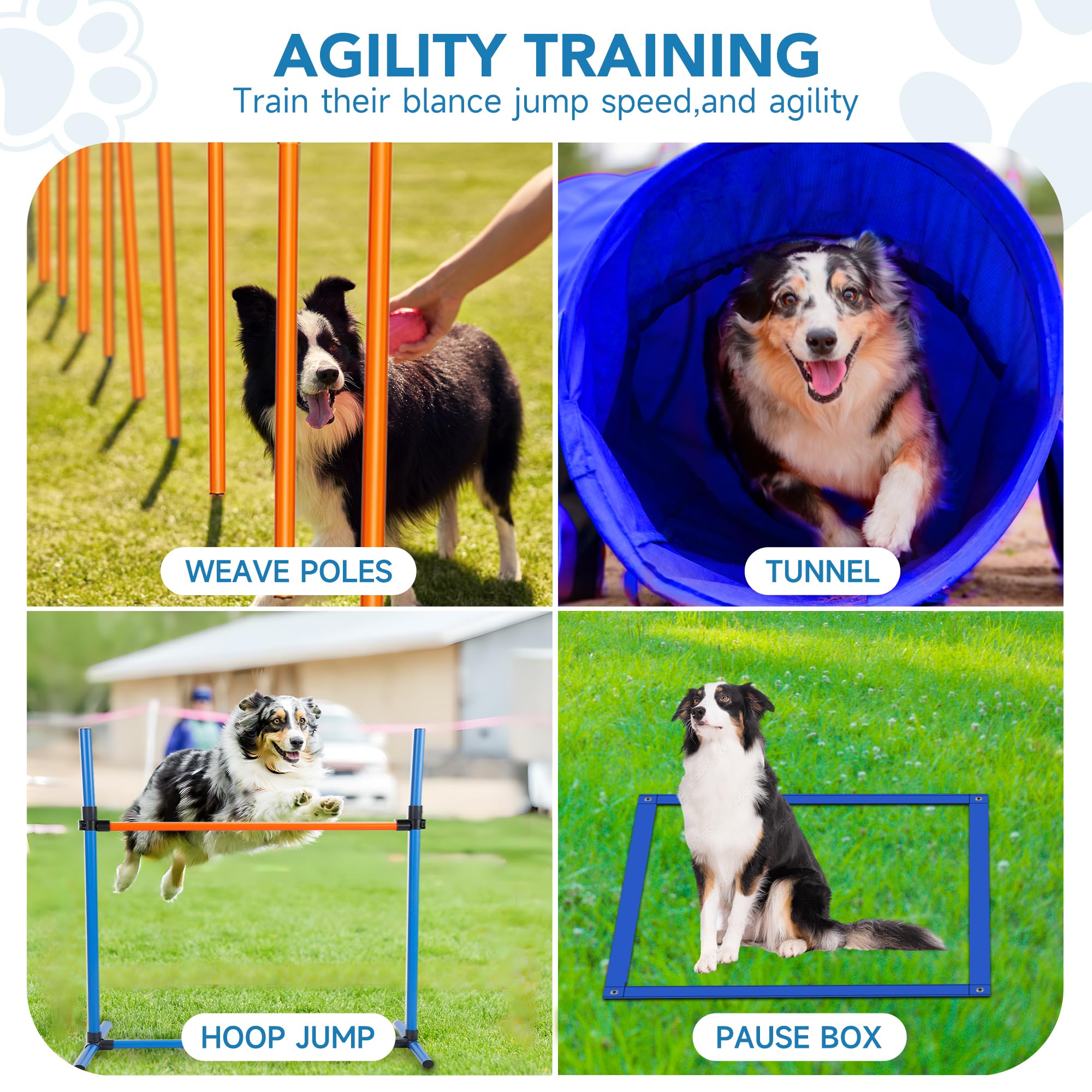 Dog Agility Training Equipment Engue Dog Agility Taining Equipment