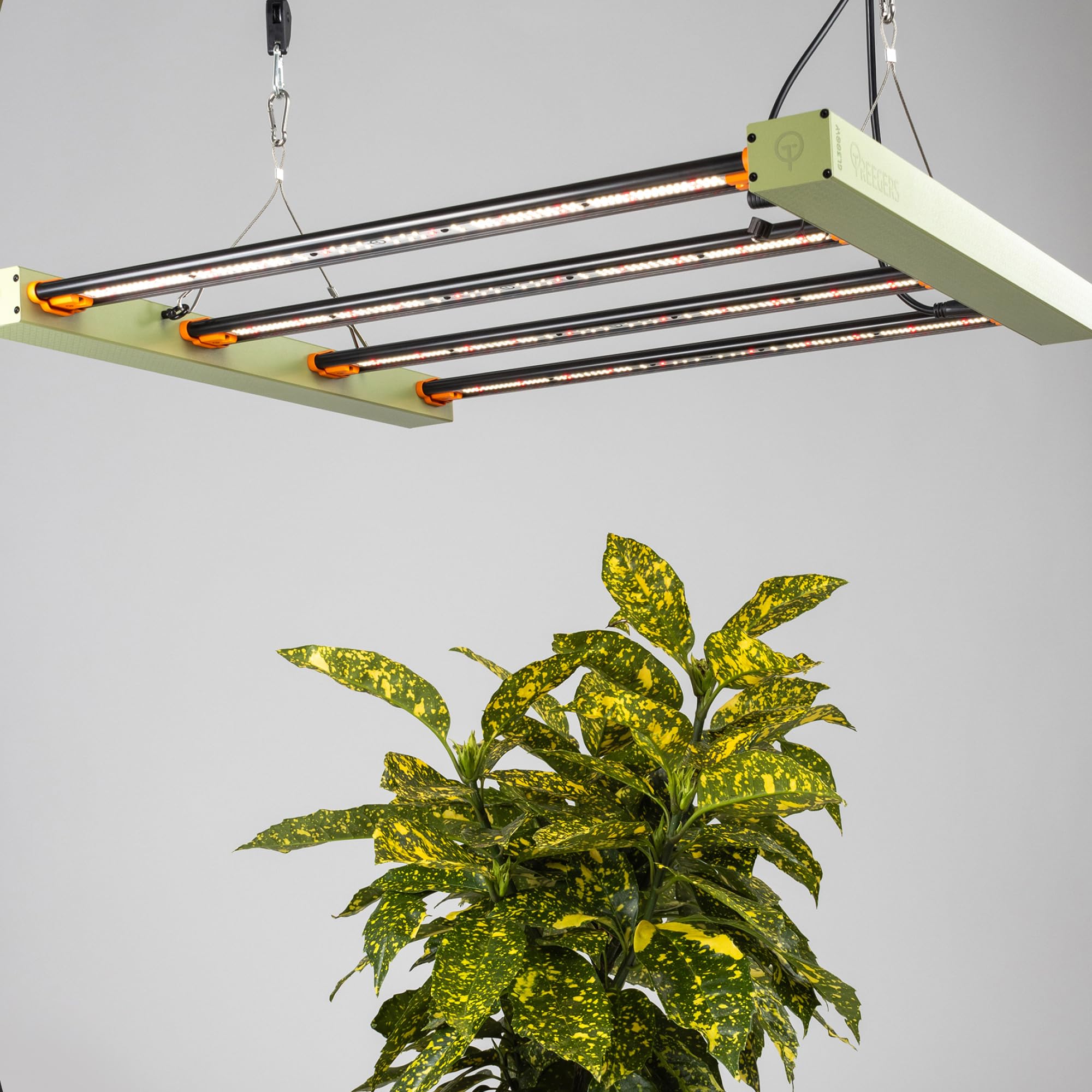 Lampe LED Horticole 300W GL300W – Spectre Complet, Haut Rendement 2,8 µmol/J – Couvre 1 × 1m – Éclairage Professionnel pour Plantes d’Intérieur