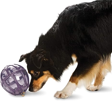 Kibble toy Clearance