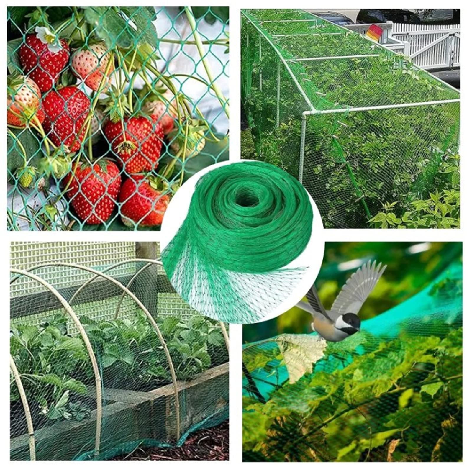 Rete per Piante Rampicanti, Rete da Giardino, Verde Rete Protezione per Piante, Stagni Frutti Larghezza Maglie 1.5 Cm per Vegetali e Frutta Rete