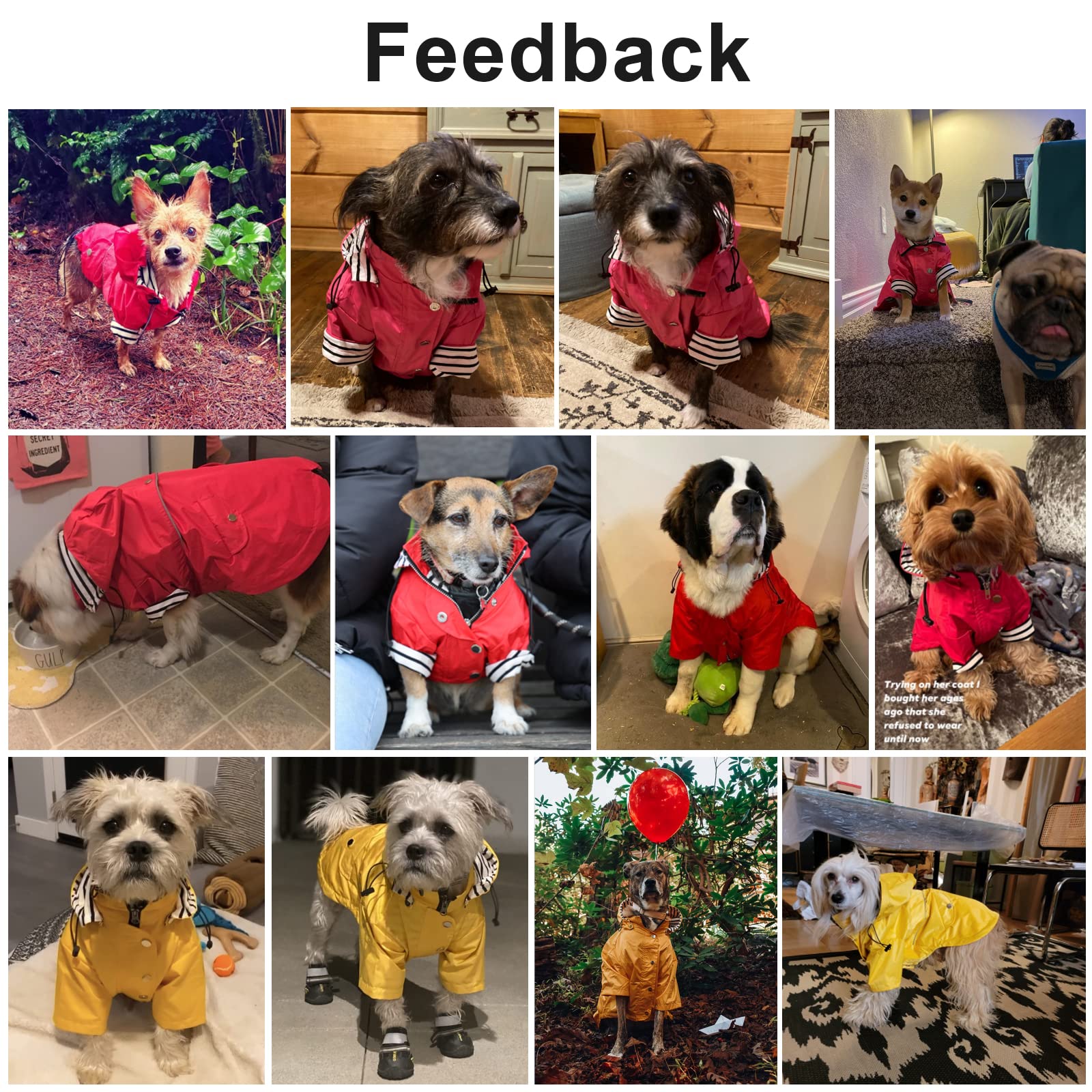 Pethiy- Elegante Chubasquero para Perro,Impermeable Abrigo con Botones Reflectantes y Bolsillos, Resistente a la Lluvia/al Agua,con Capucha extraíble, para pequeños y medianos Perros-Amarillo-M