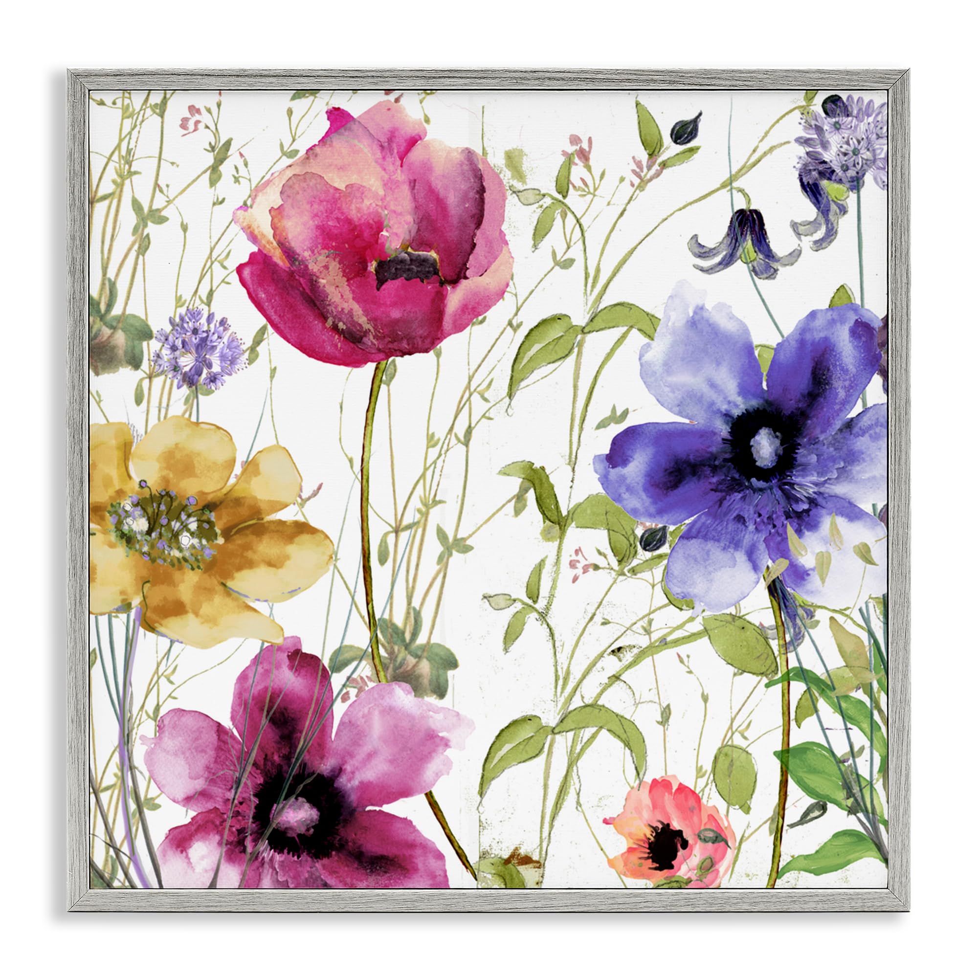 Tableau botanique Sasha par Stupell Industries 43x43 cm encadré