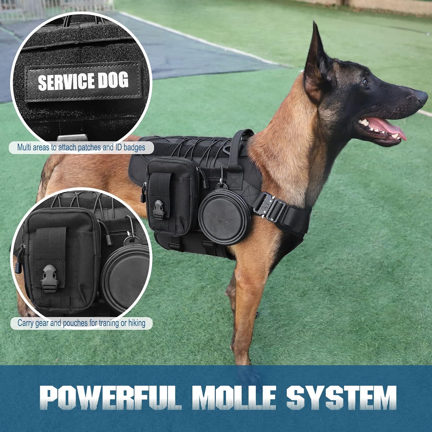 PETNANNY Tactical Dog Harness, Military Dog Harness for Medium Large Dogs, No Pull Service Dog Vest with Hook & Loop Panels, Working Dog Molle Vest for Training Hunting Walking (Black, Large) : Pet Supplies