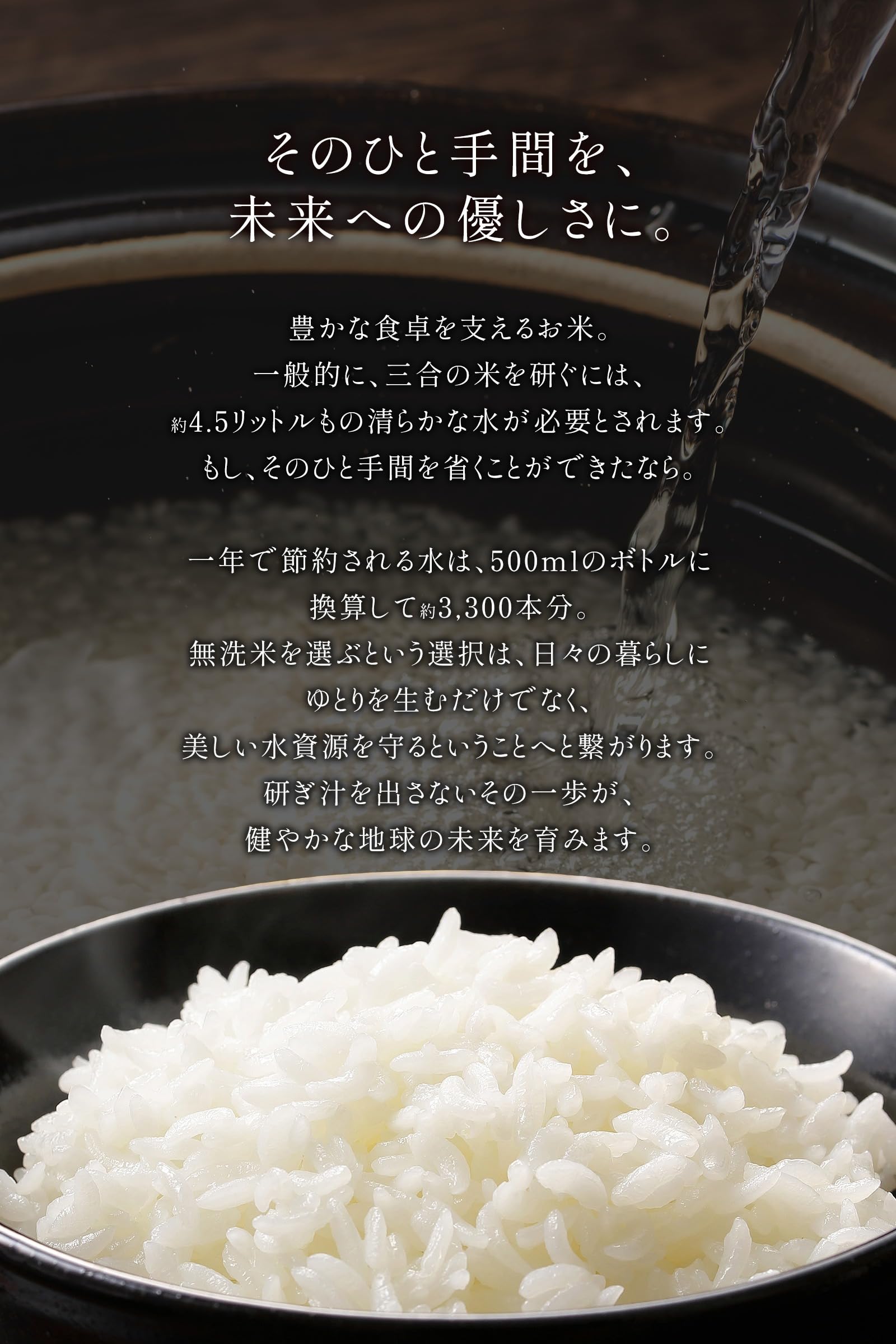 Amazon.co.jp: 【白米 100㎏ ヒノヒカリ】令和7年産 熊本県産 銘柄米