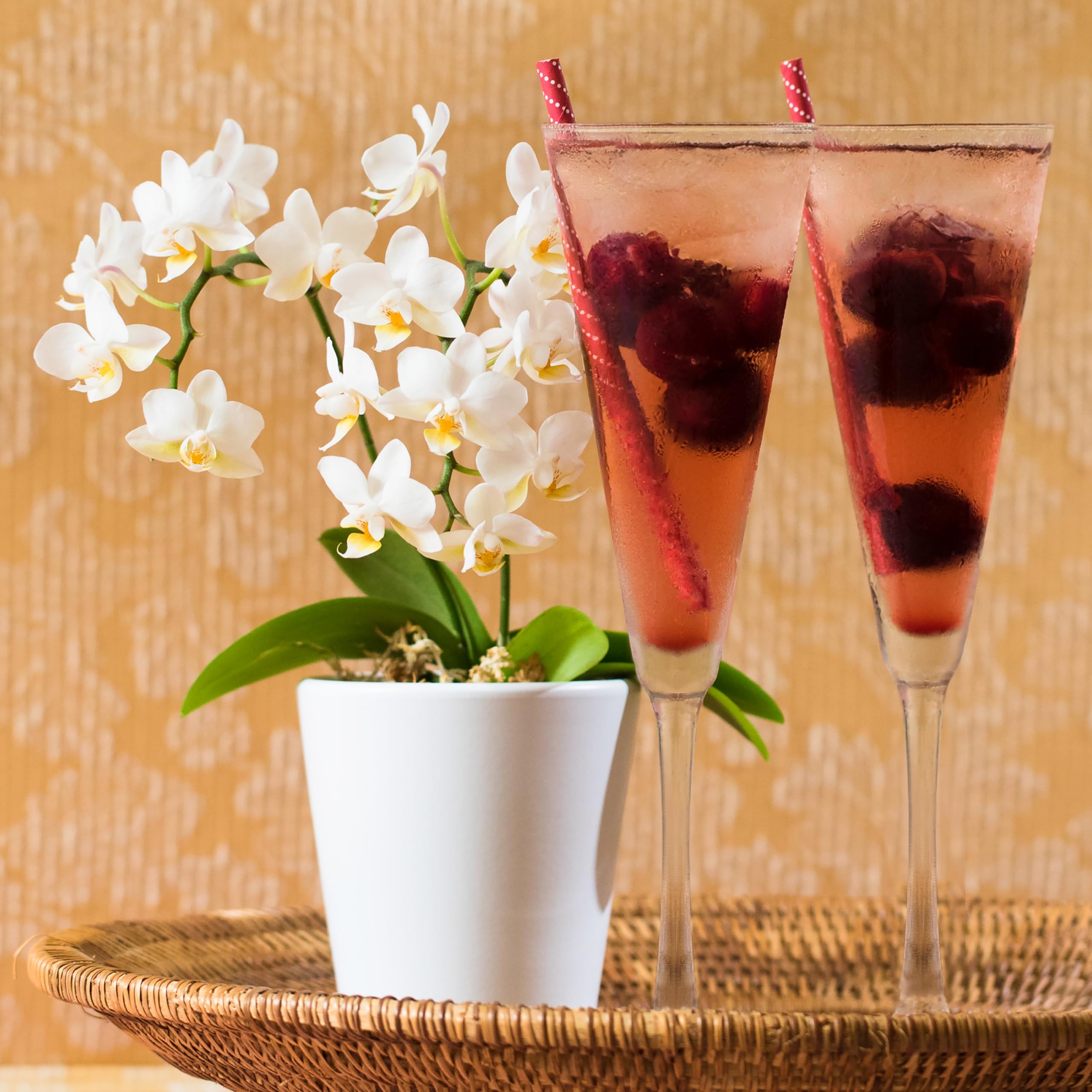 LIBBEY 70141 Sektglas "VINA", 192 ml, 12er Set
