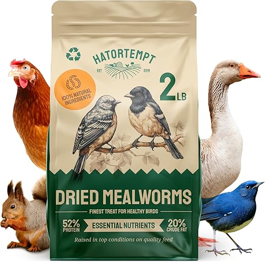 Dried Mealworms for Wild Birds 2 lbs – Non GMO High Protein Mealworms for Chickens and Laying Hens - Turtle Food - Chicken Feed
