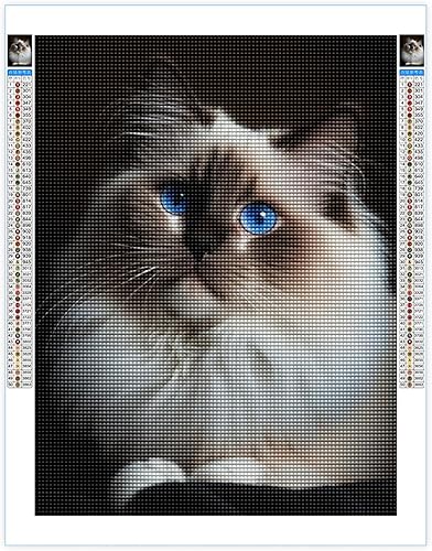 DIY Diamond Painting Kits for Adults, Well-Behaved Ragdoll Cat Round Full Drill 5D Diamonds Gem Art Drill Home Decoration Kits and Room Wall Decor