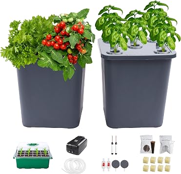 2 Hydroponic Buckets Kit for Plants, Hydroponics Growing System for Herbs/Tomato/Vegetables, DWC System with Air Pump & Germination Tray Complete Indoor Hydroponic Gardening Supplies