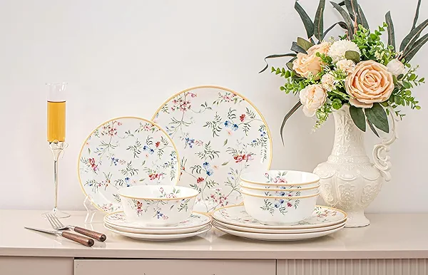 FHGNYSM Bone China Plates and Bowels,12-Pieces Dinnerware Sets, Highly Chip and Crack Resistant, Dishwasher & Microwave Safe Dishes Set, Dense and Translucence