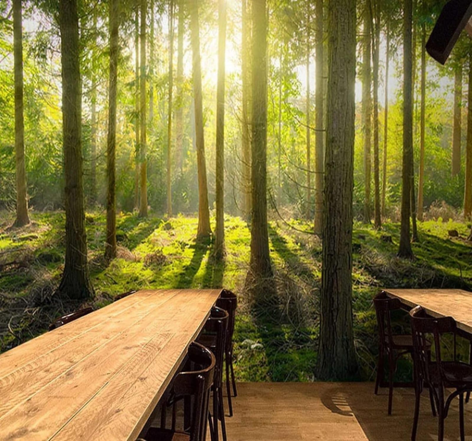 XLMING Sunlight Greenery Forest Nature Landscape 3D Wallpaper Luxury Home Dining Decor Paste Sofa Living Room The Wall for Bedroom Mural-250cm×170cm