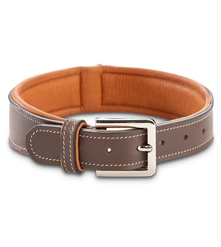Jack & Russell Premium Perro Cuero Collar Amy
