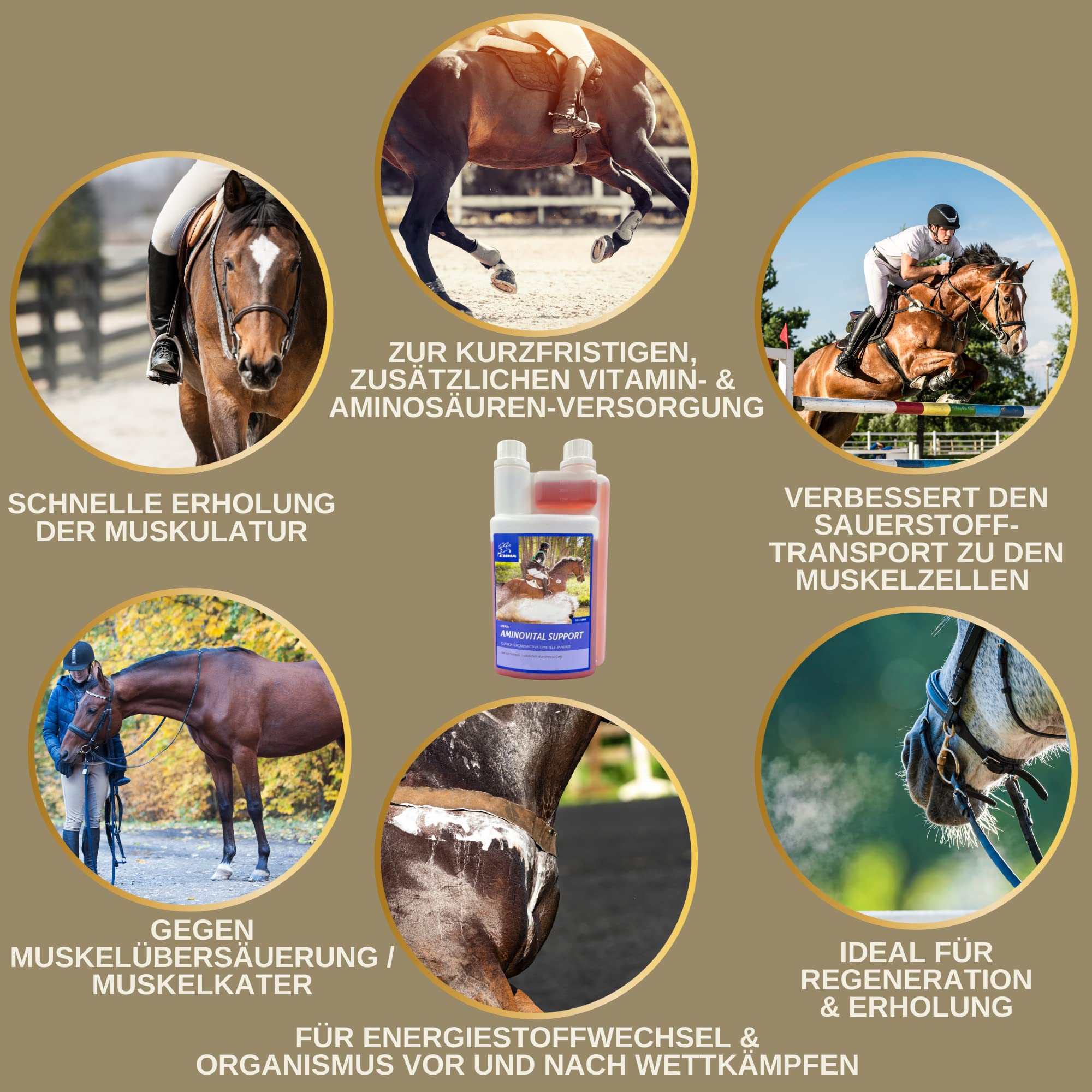 Amino Liquid I Aminoacidi Complesso vitaminico B I Mangime complementare Vitamina B12 I Zinco cavallo I Costruzione dei muscoli cavallo Rafforzamento dei muscoli I Rigenerazione muscoli per cavalli 1L