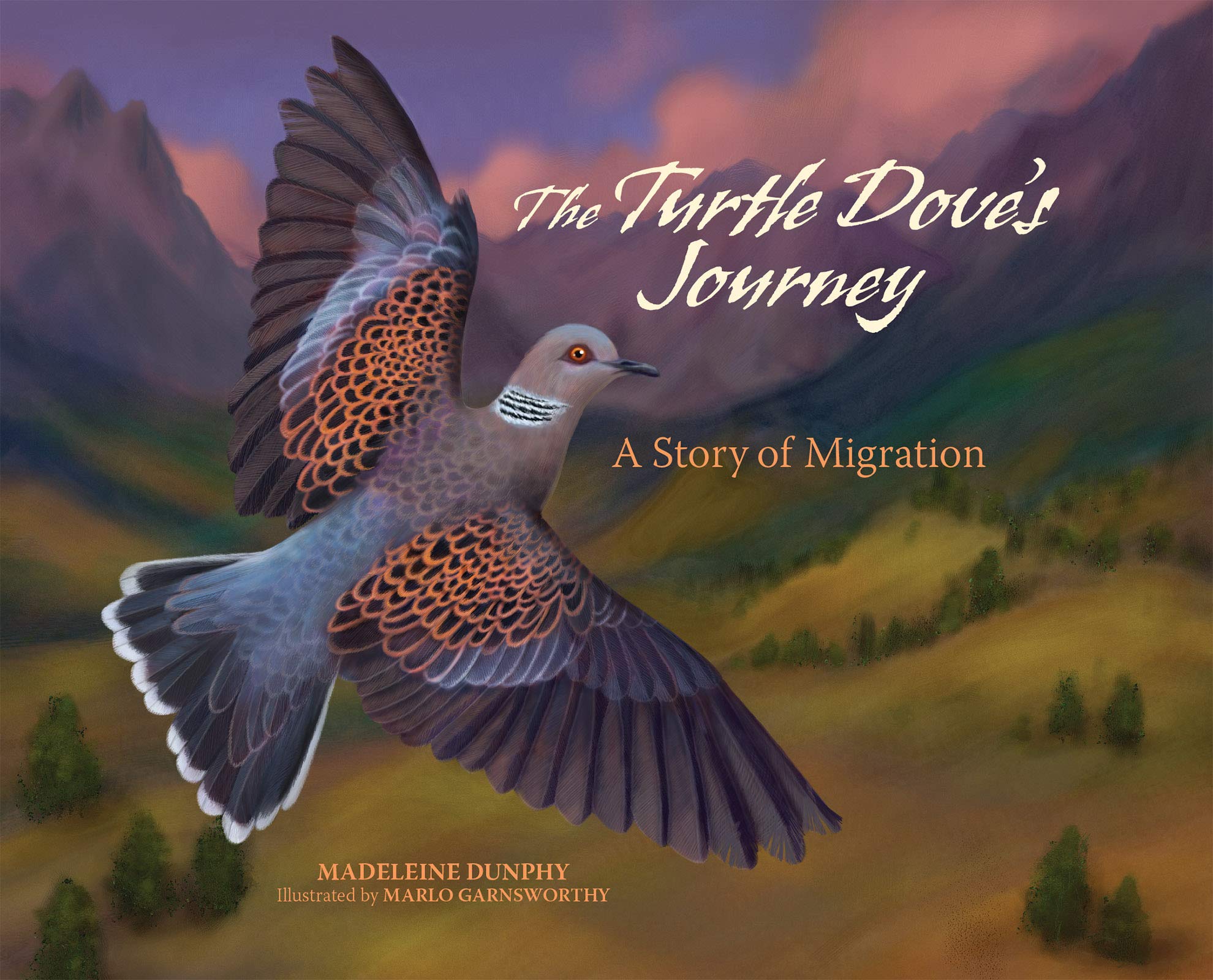 The Turtle Dove's Journey: A Story of Migration (A Story of Migration, 2)