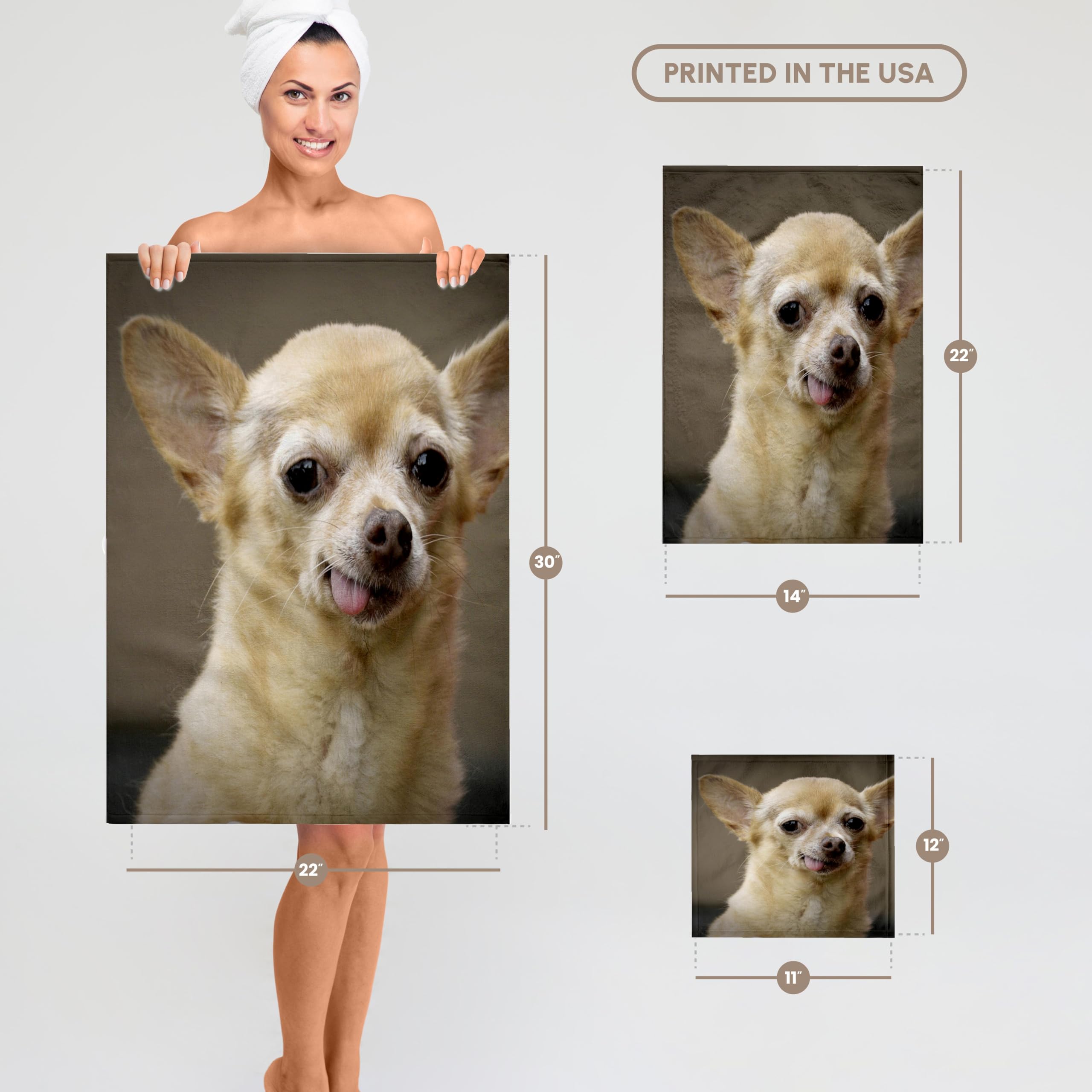 3D Gül Dişsiz Chihuahua Köpek-Santa Fe-New Mexico-Us32 Jmr0502