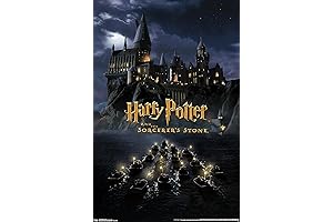 Trends International Harry Potter Castle Wall Poster