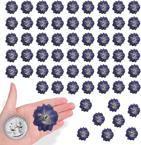 Flores secas prensadas moradas grandes para adornos de manualidades de resina, 60 flores naturales prensadas para joyería de resina, caja de
