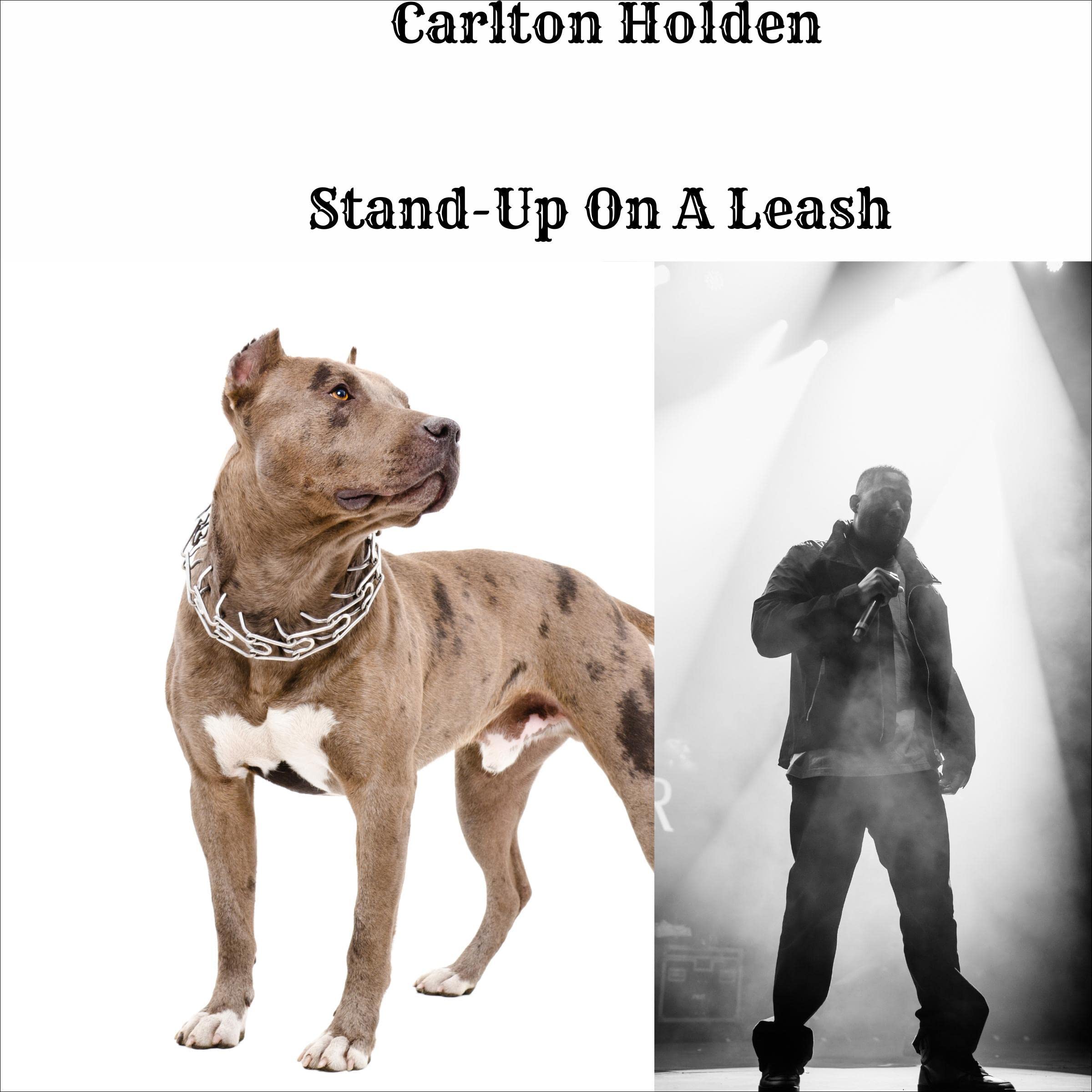 Stand-Up on a Leash